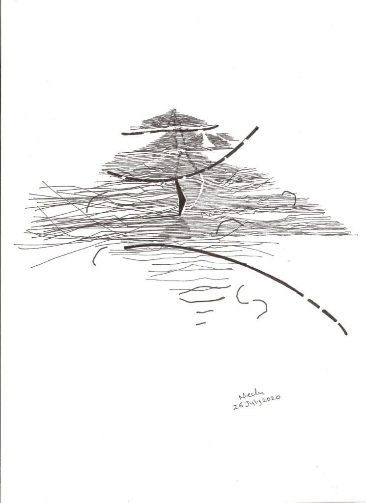 Neetu Gaikwad 13 2 745x1024