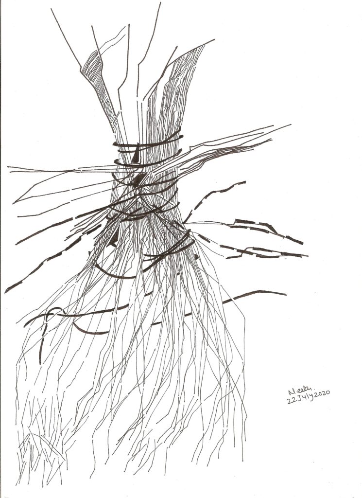 Neetu Gaikwad 15 1 745x1024