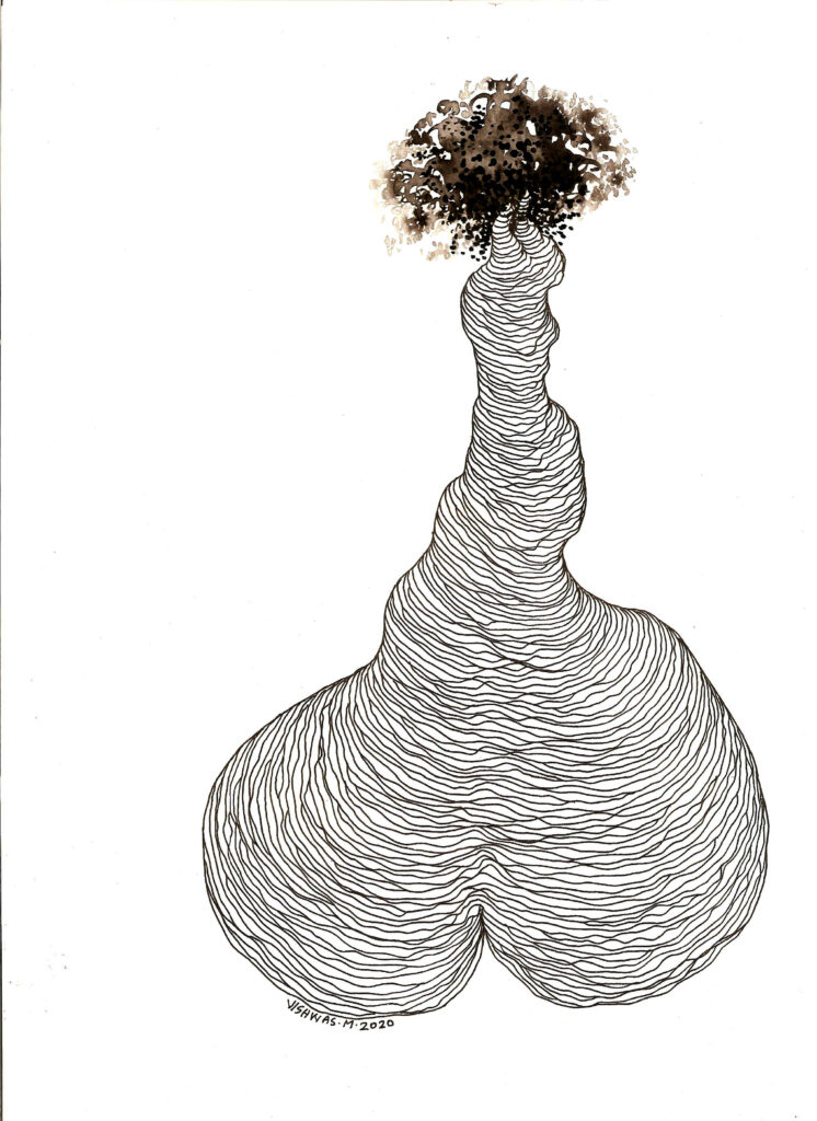 Vishwas M 12 746x1024